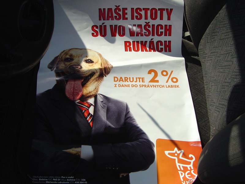 Charitatívna akcia - čistenie pre OZ pes v núdzi